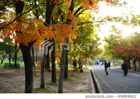 商展紀念公園秋葉 69869062