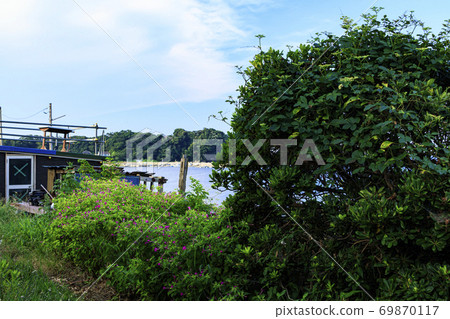 湘南三浦半島夏日海灘 湘南三浦半島夏日海灘 69870117