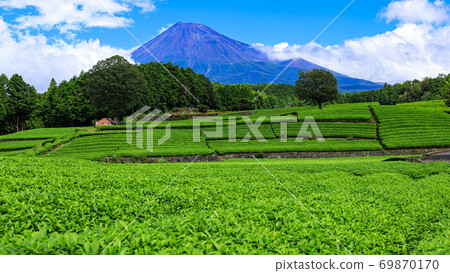 Summer at Obuchi Sasaba, famous for its tea plantations and Mt. Fuji 69870170