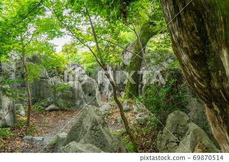 妙成林寺 妙成林寺 69870514