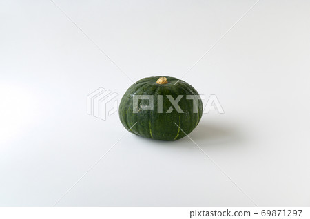 pumpkin pumpkin 69871297