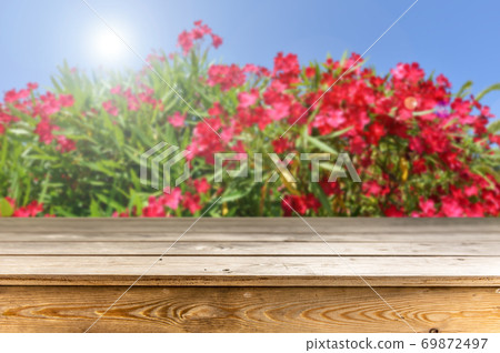Wooden table background Wooden table background 69872497