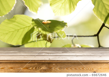 Wooden table background Wooden table background 69872646