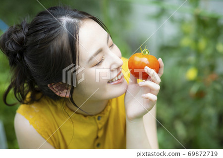 家庭花園番茄 69872719