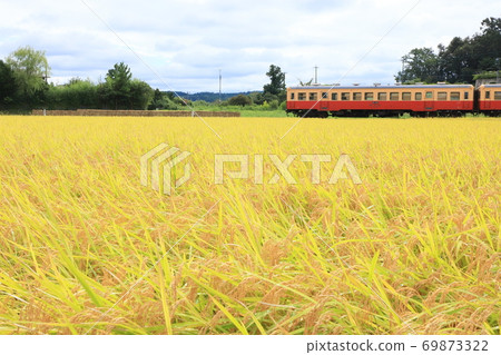 Kominato Tetsudo "Golden Rice and Local Line" 69873322