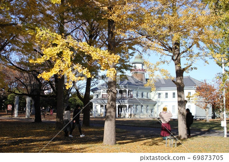 The retro appearance of the former Mizukaido Elementary School overlooking the yellow-leaved ginkgo trees 69873705