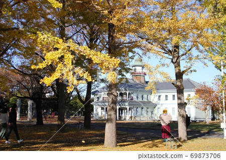 可以俯瞰銀杏樹的黃葉的前水海堂小學的複古外觀 69873706