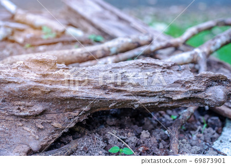Rotten wooden blurred background 69873901