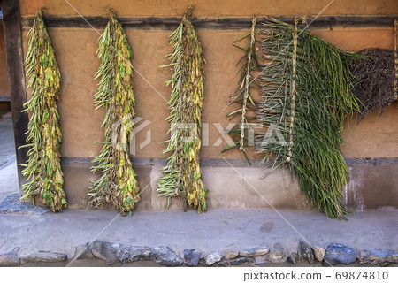 See the folk village 69874810