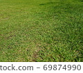 Green lawn 69874990