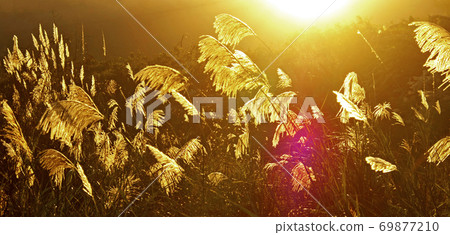 When the sun is shining 69877210