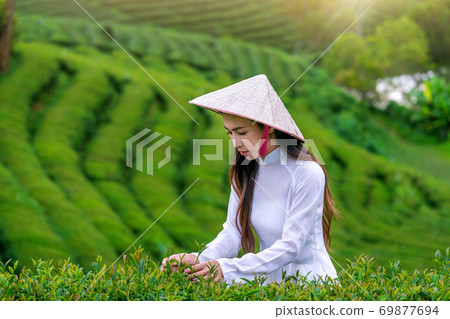 Asian woman wearing Vietnam culture traditional in tea plantation. Asian woman wearing Vietnam culture traditional in tea plantation. 69877694