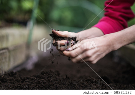Conceptual image of gardening Conceptual image of gardening 69881182
