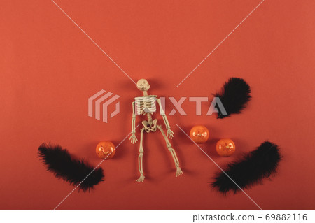 Orange background with skeleton, feathers and mini pumpkins. Halloween Orange background with skeleton, feathers and mini pumpkins. Halloween 69882116