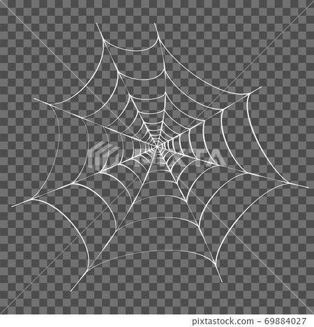Spider web concept 69884027