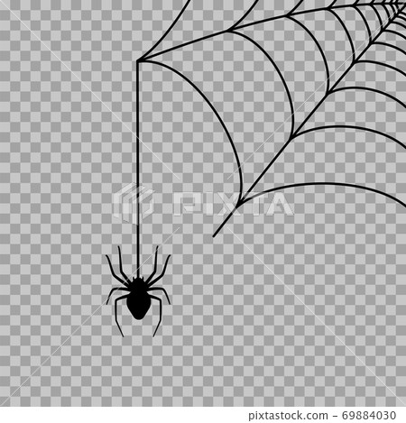 Spider web concept 69884030