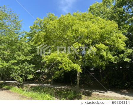 Tokuo Park Tokuo Park 69884314