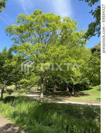 Tokuo Park Tokuo Park 69884327