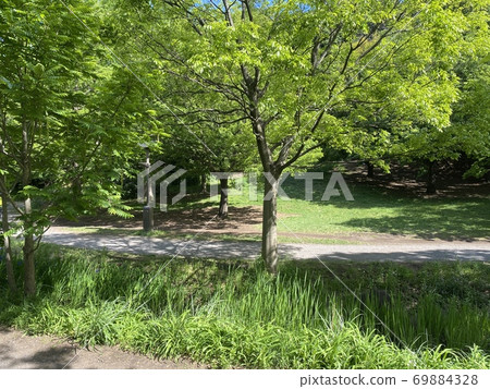 Tokuo Park Tokuo Park 69884328
