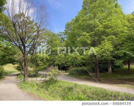 Tokuo Park Tokuo Park 69884339