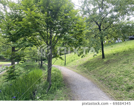 Tokuo Park 69884345
