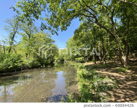 橫濱的森林 69884426