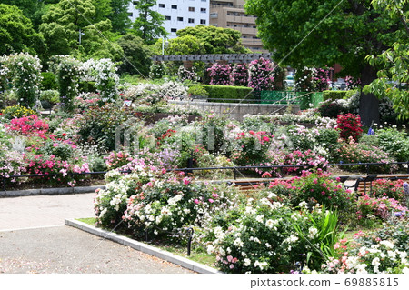 Flower field in Yokohama 69885815