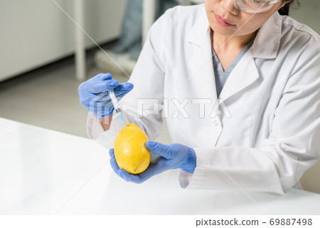 Gloved hands of contemporary young female scientist in whitecoat injecting lemon Gloved hands of contemporary young female scientist in whitecoat injecting lemon 69887498