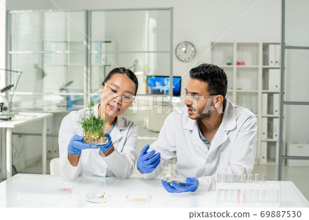Young female researcher in gloves and whitecoat holding lab-grown soy sprouts 69887530