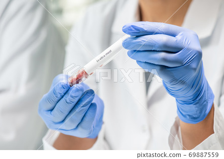 Gloved female worker of food quality control holding flask with in-vitro meat 69887559