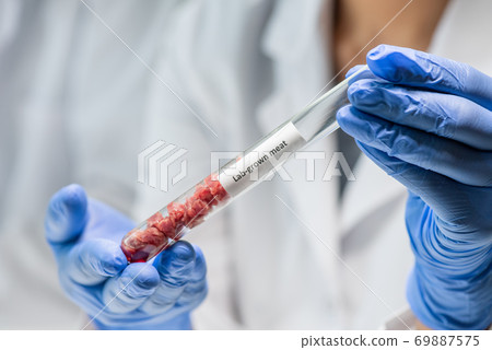 Gloved worker of food quality control holding flask with tiny pieces of raw meat Gloved worker of food quality control holding flask with tiny pieces of raw meat 69887575