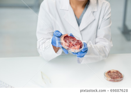 Gloved hands of female researcher in whitecoat holding petri dish with raw meat Gloved hands of female researcher in whitecoat holding petri dish with raw meat 69887628