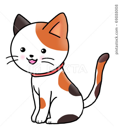 Mike cat with a round face Mike cat with a round face 69888008