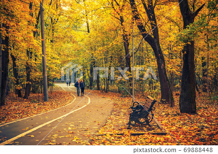 Pathway in autumn park 69888448