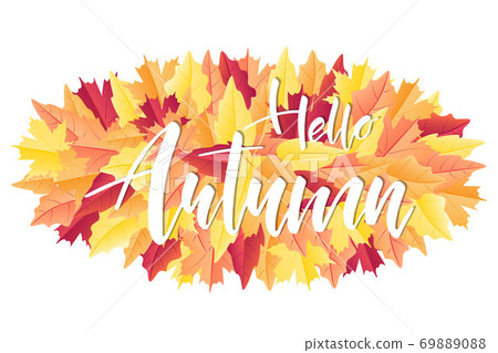 Hello Autumn hand lettering text on fall leaves Hello Autumn hand lettering text on fall leaves 69889088