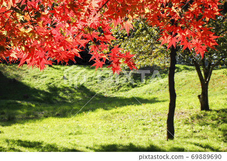 Sunny frost moon, autumnal scenery Sunny frost moon, autumnal scenery 69889690