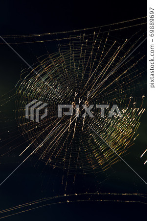 幾何圖案三蜘蛛網2 69889697