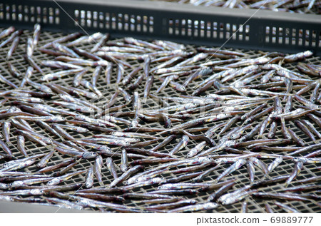 Iriko anchovy sun-dried 69889777