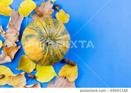 Pumpkin with autumn leaves on a blue background. Pumpkin with autumn leaves on a blue background. 69891386
