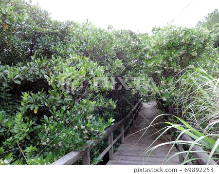 東村二井Hirugi公園長廊 69892253