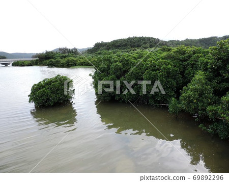 Higashimura Fureai Hirugi Park Mangrove Higashimura Fureai Hirugi Park Mangrove 69892296