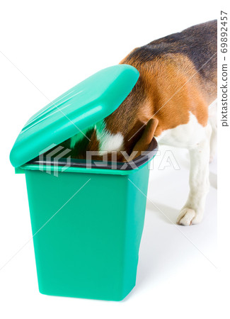 What news? What news? 69892457