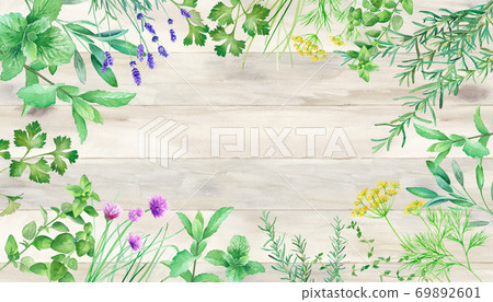 Frame decoration surrounded by various herbs against the background of wood grain. Watercolor illustration. Frame decoration surrounded by various herbs against the background of wood grain. Watercolor illustration. 69892601