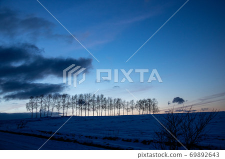冬季黃昏的天空和樹木的輪廓美瑛町 冬季黃昏的天空和樹木的輪廓美瑛町 69892643