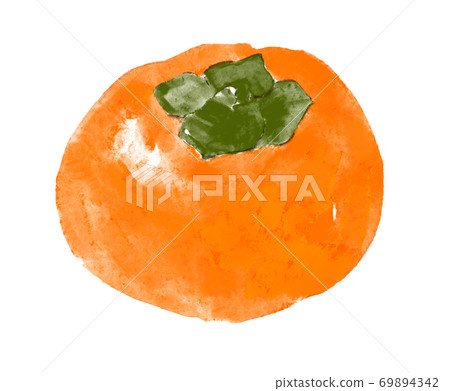 Ripe persimmon fruit watercolor style Ripe persimmon fruit watercolor style 69894342