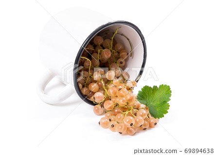 White cup with white currant berry in it and small bunch of white currant with green leaf isolated on white.. White cup with white currant berry in it and small bunch of white currant with green leaf isolated on white.. 69894638