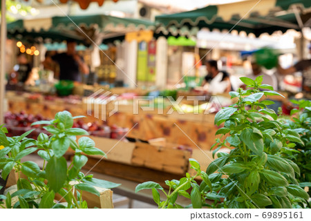 Green basil leaves at the Provencal street market Green basil leaves at the Provencal street market 69895161