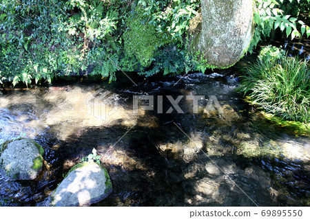 Spring water spot in Minamiaso Pond river water source Spring water spot in Minamiaso Pond river water source 69895550