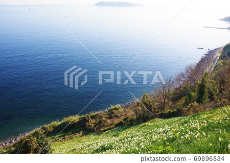 兵庫縣淡路島南淡路水仙線和沼島從那庫若岩水仙鄉看到 兵庫縣淡路島南淡路水仙線和沼島從那庫若岩水仙鄉看到 69896884