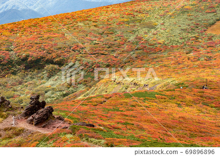 Autumn leaves near the Kurikoma mountain Sugawa branch 69896896